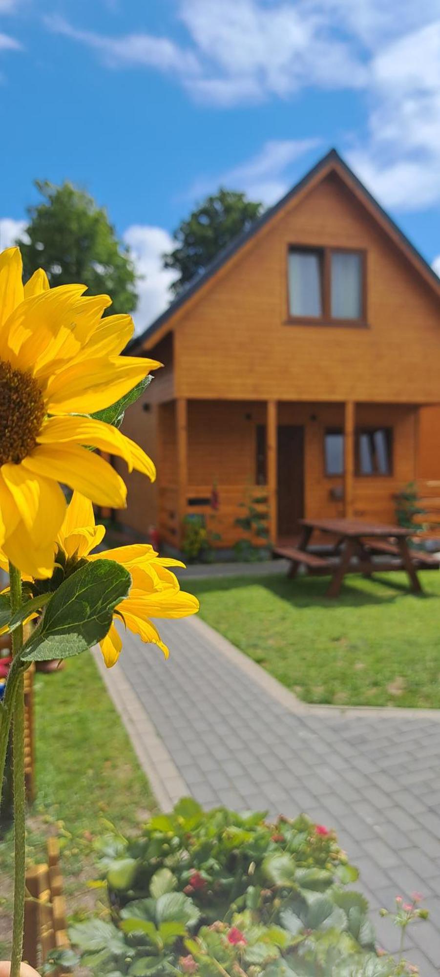 Sloneczne Domki Pustkowo, 1 Minuta Do Plazy, Luaran gambar